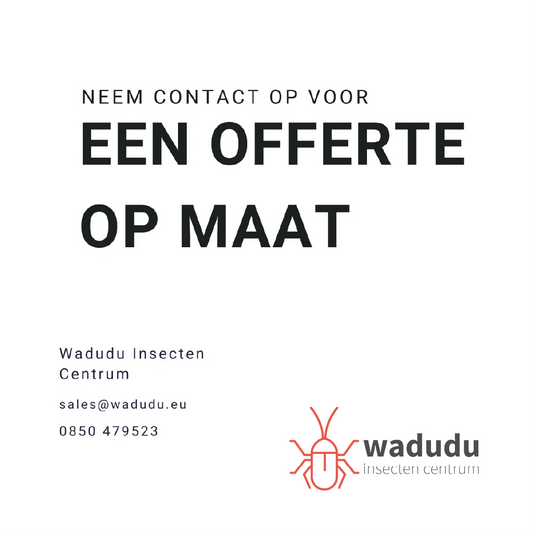 Levende meelwormen