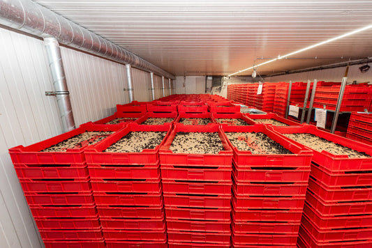 De insectensector ontpopt zich