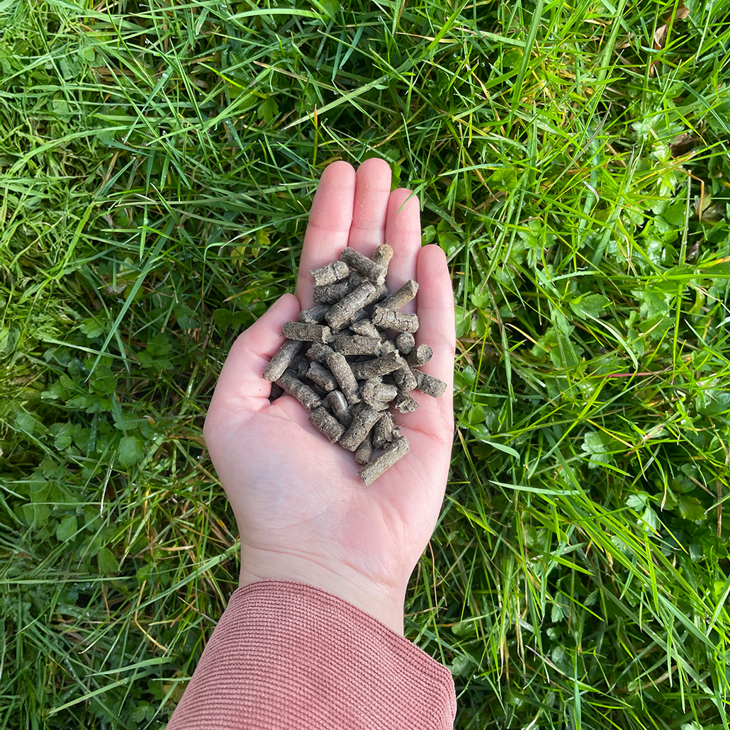 Wolkorrels – 5 kg - Schapenwolmest