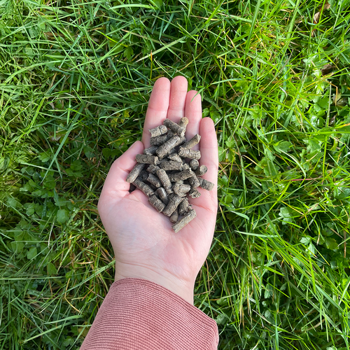 Wolkorrels – 5 kg - Schapenwolmest
