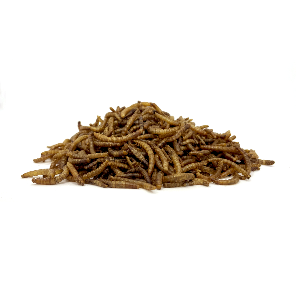 Gedroogde meelwormen
