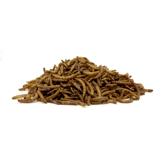 Gedroogde meelwormen